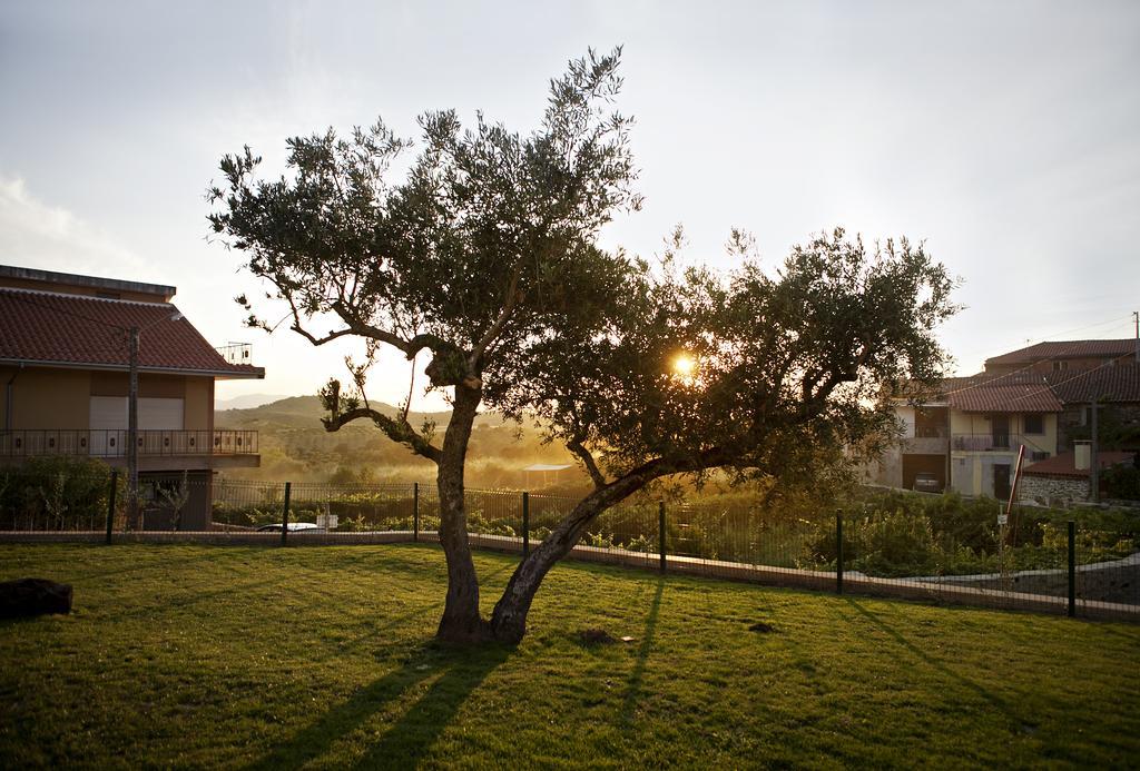 Villa Casas de Vale de Lobo Mirandela Exterior foto